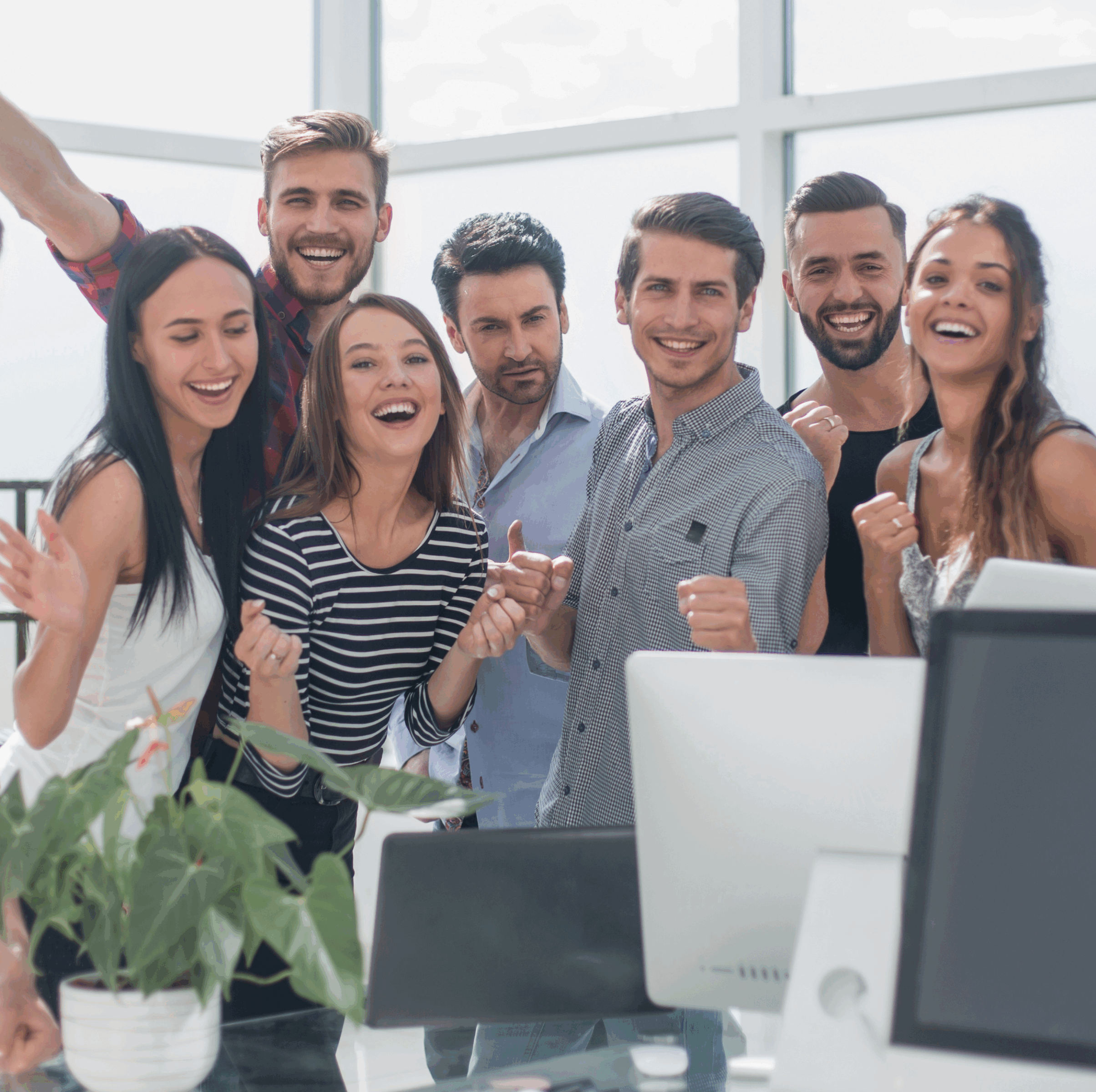 Office Team