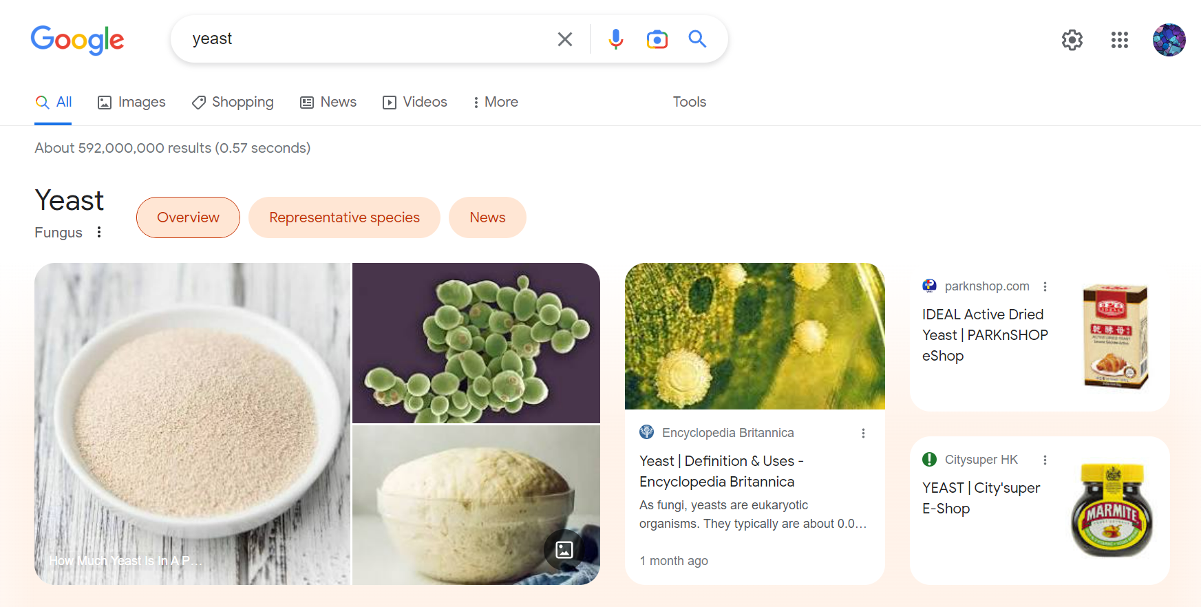 yeast谷歌搜索结果 